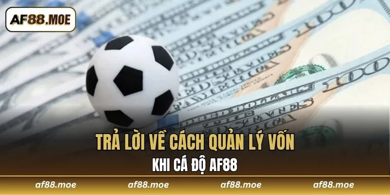 Trả lời về cách quản lý vốn khi cá độ AF88